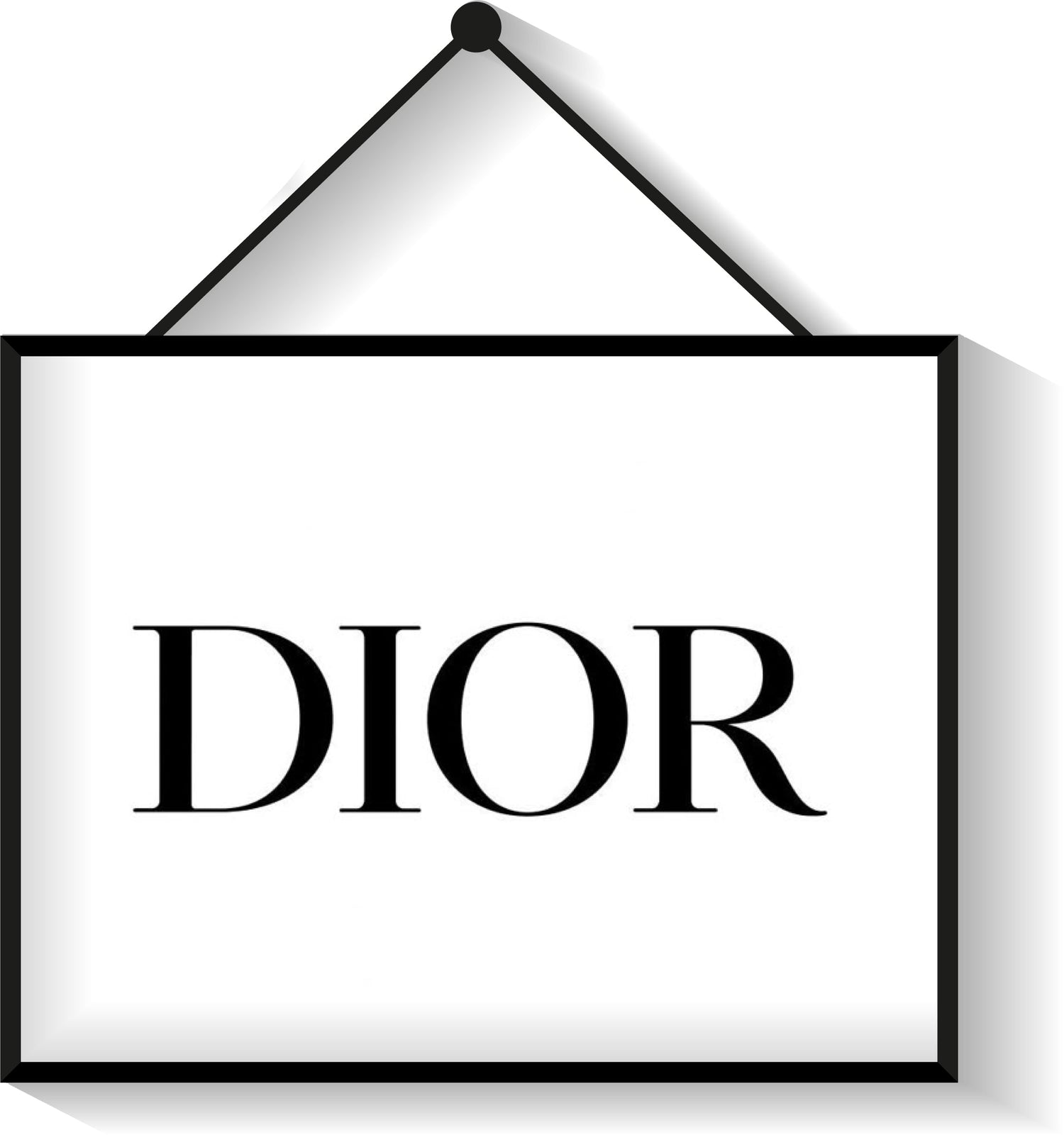 Dior Inspired Bags